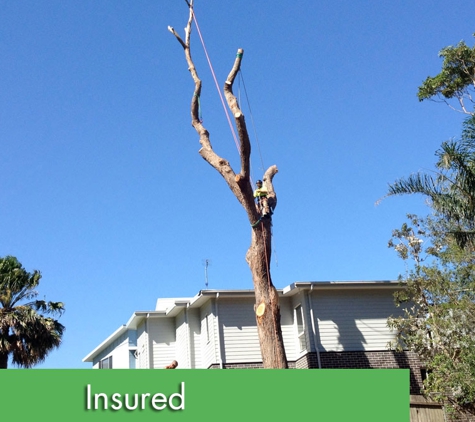 All Coast Tree Services - West Wollongong, NSW