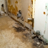 Floridas Best Public Adjusters Fort Myers gallery