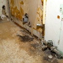 Florida's Best Public Adjusters - Insurance Adjusters