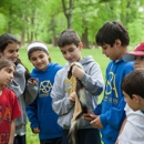 Armenian Sisters Academy - Private Schools (K-12)