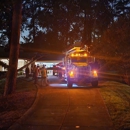 Life's Tree Doctor - Arborists