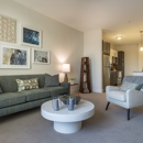 Quinn35 Apartments - Apartment Finder & Rental Service