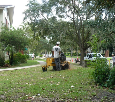 A Cut Above Tree & Landscape Inc - Orlando, FL