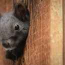 Takedown Pest Control - Pest Control Equipment & Supplies