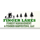 Finger Lakes Forest Management & Timber Harvesting, LLC - Stump Removal & Grinding