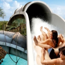 Crush 'n' Gusher - Tourist Information & Attractions