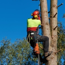 Double R Tree Service - Tree Service