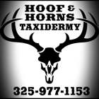 Hoof and Horns Taxidermy