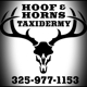 Hoof and Horns Taxidermy