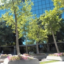 Marlene Hemmings, Attorney at Law - Immigration Law Attorneys