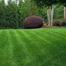 Emerald Green Inc - Landscape Contractors