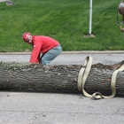 Boyd Brothers Tree Care