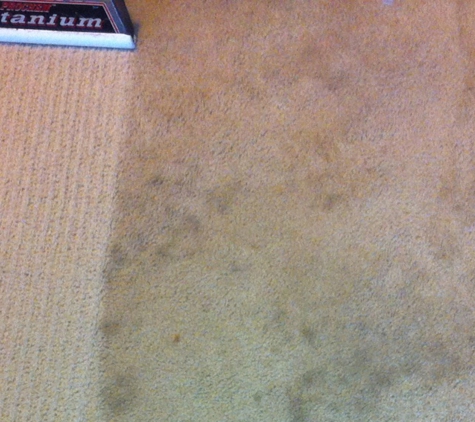 Precise Carpet Cleaning - Saint Charles, MO