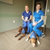 BluePearl Pet Hospital gallery