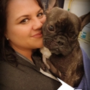 Scenthound Boynton Beach - Pet Grooming