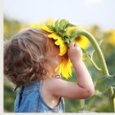 Lotus Behavioral Interventions - Disability Services