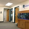 Taylor Vein Solutions gallery