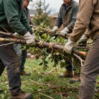 Timber Tides Tree Service LLC
