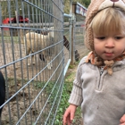 Spring Meadow Station Farm Zoo