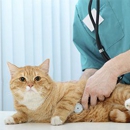 Riverfront Animal Hospital - Veterinary Clinics & Hospitals