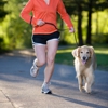 The Jogging Dog gallery