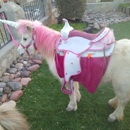 Santa Claws Petting Zoo, Pony Rides & Unicorn Princess parties - Pony Rides