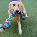 Paws 'n' Rec - Sarasota