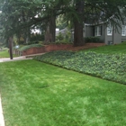 Health Turf Management Lawncare