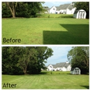 Urban Turf Lawn Care - Landscaping & Lawn Services