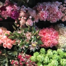 Dutch Flower Line Inc - Wholesale Florists
