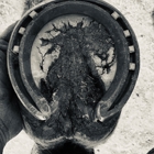 Rennie's Horseshoeing