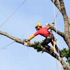 American Tree Trimmers