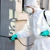 Hayes Pest Control gallery