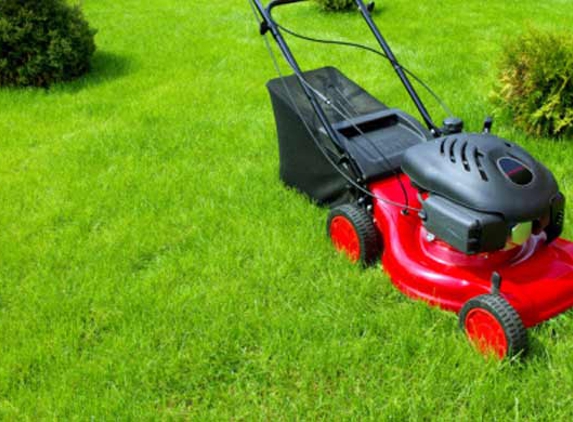 Camden Mower & Chainsaw Centre - Camden, NSW