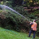 Technical Spray Service - Lawn Maintenance