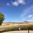 Wild Coyote Winery