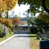 Cedar Grove Cemetery gallery