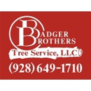 Badger Brothers Tree Service. - Stump Removal & Grinding