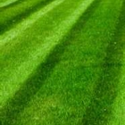 Naturalgreen Lawn Care LLC