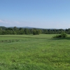 CedarSprings, LLC gallery