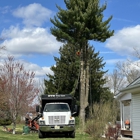HTS Tree Care
