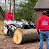 Patriot Tree and Landscaping gallery