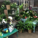 Amy's Florist - Plants-Interior Design & Maintenance