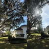 Sacred Tree Service gallery
