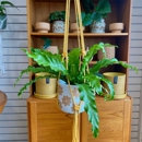 Paper Crane Botanicals - Nurseries-Plants & Trees