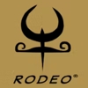 Rodeo Cowhide Rugs gallery