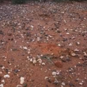 Gallery Image Number 2