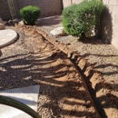 Brewer's Irrigation