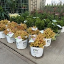 Sewickley Creek Greenhouse - Gift Shops