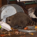 Go2-Pos Pest Control - Pest Control Services